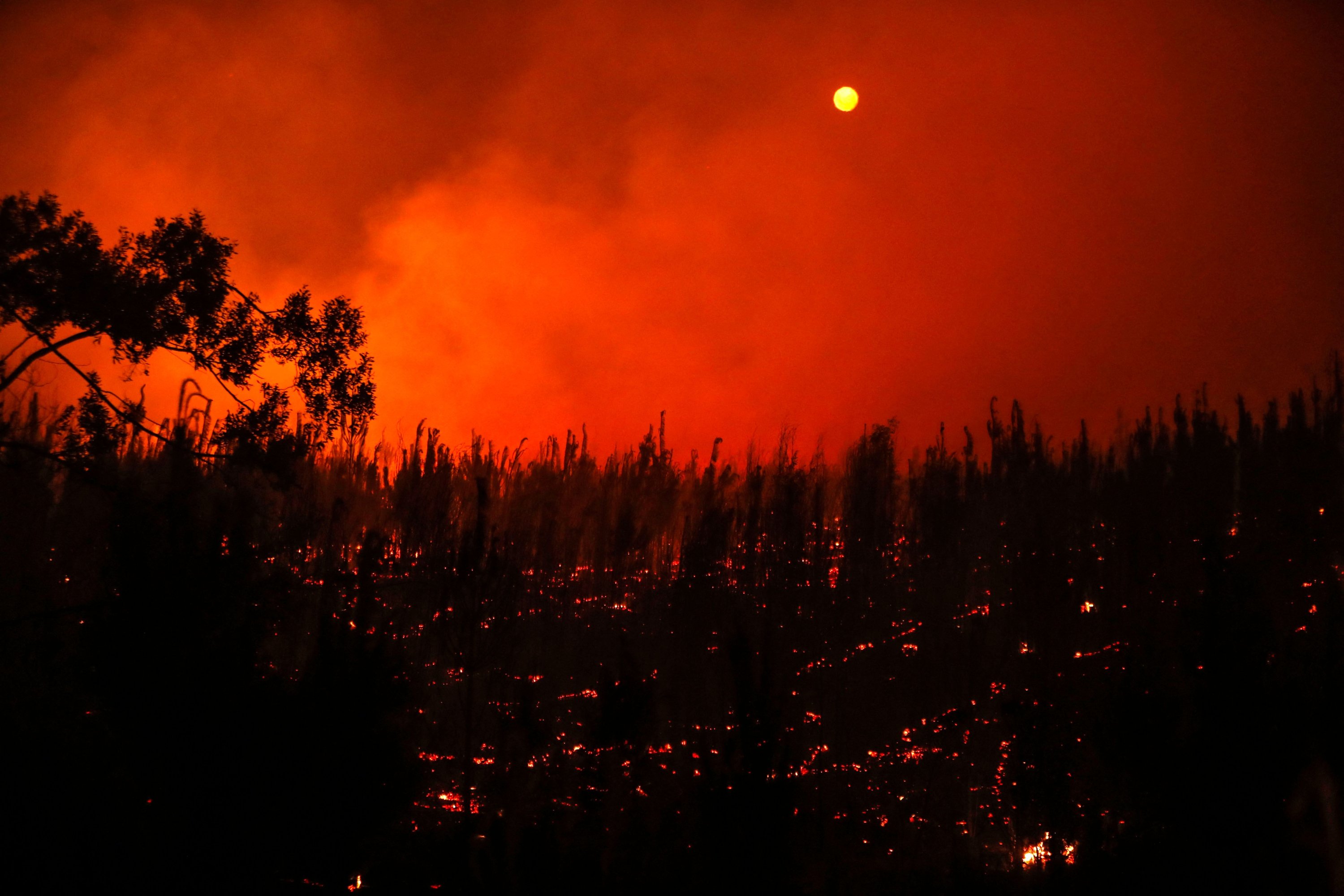 Pemandangan kebakaran di Puren, wilayah Araucania, Chili, 4 Februari 2023. (Foto AFP)