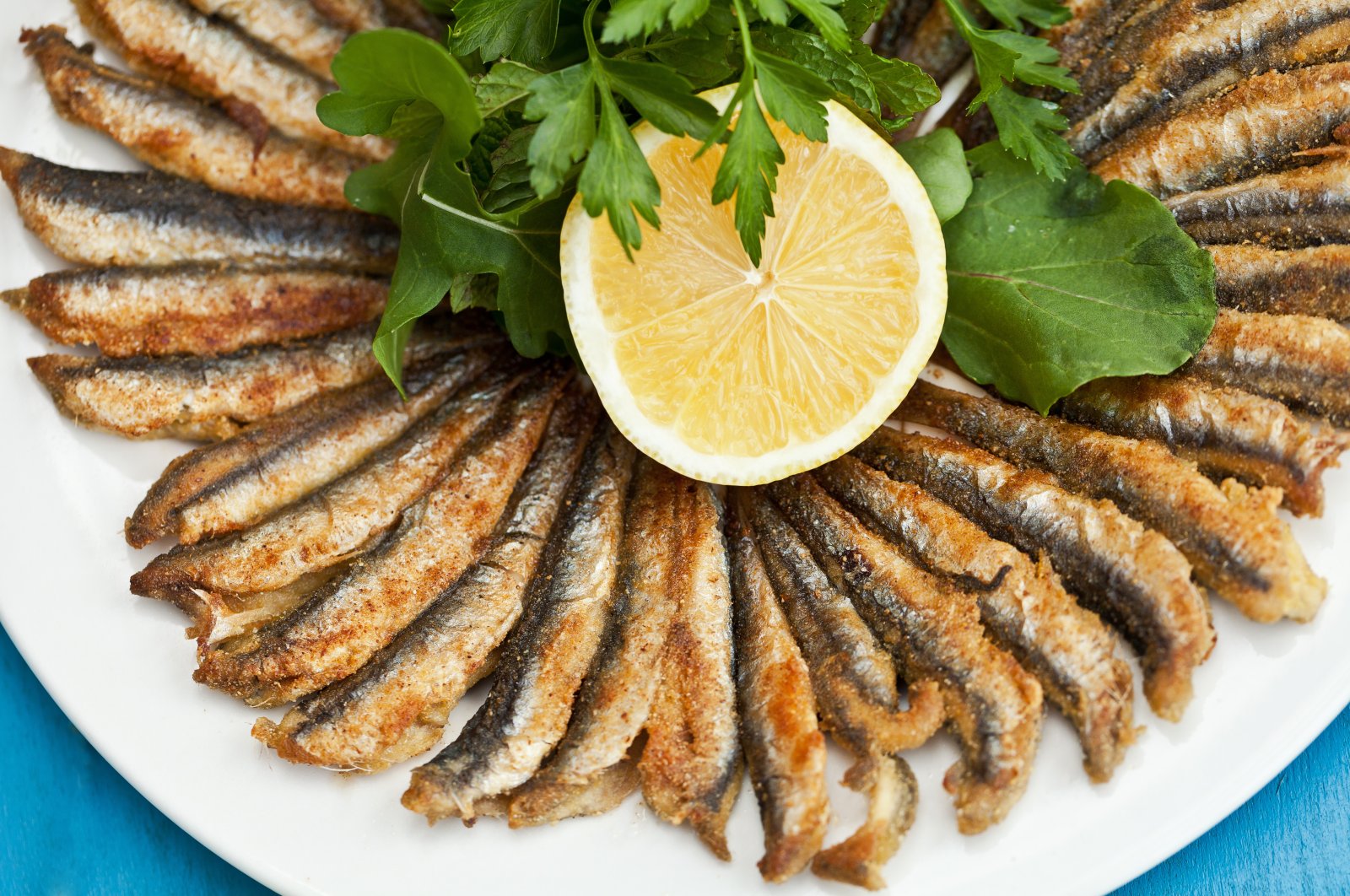 Fried anchovies, known as "hamsi tava" in Türkiye. (Shutterstock Photo)