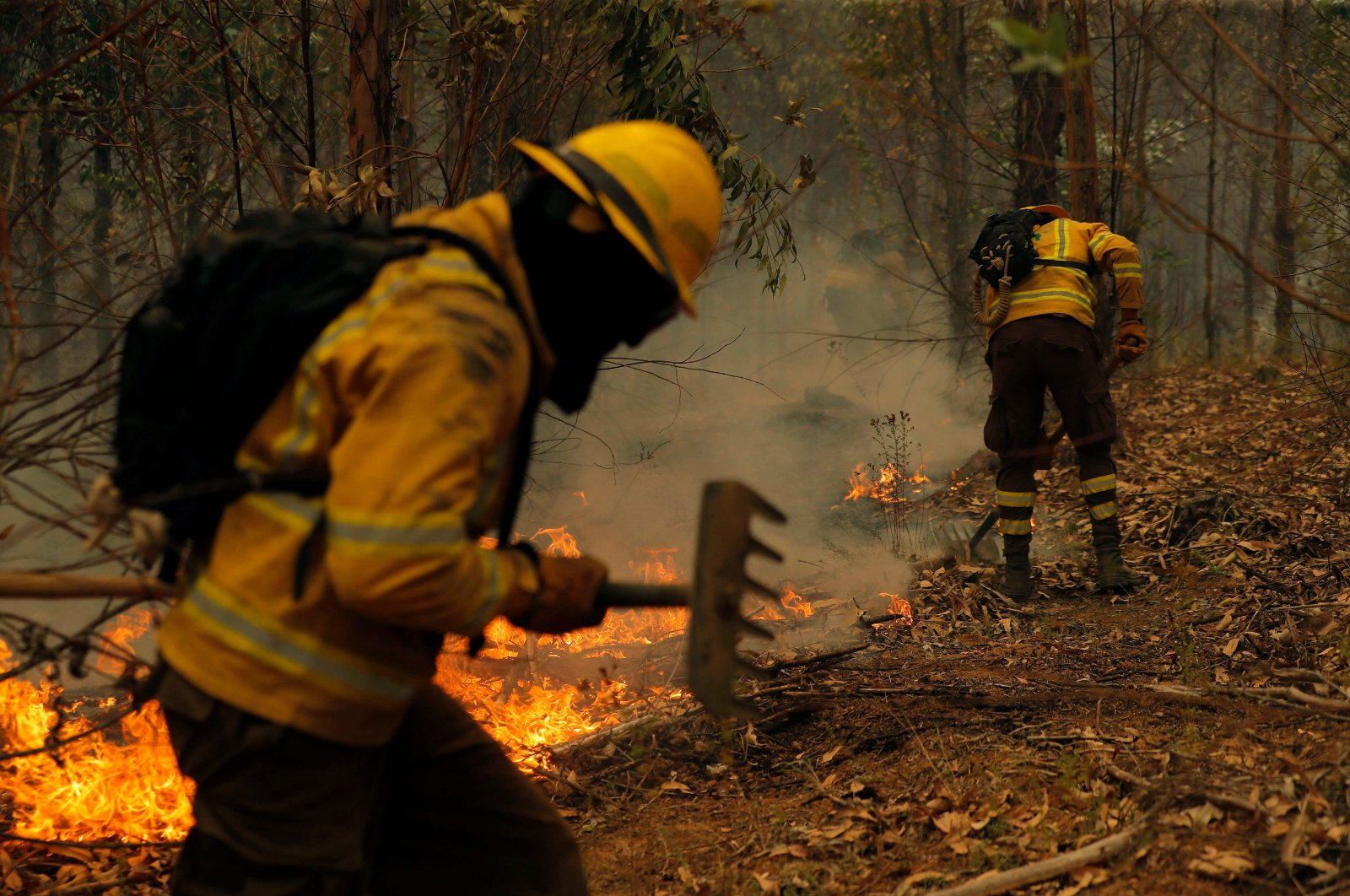 Firefighters battle a blaze in Nacimiento, Concepcion province, Chile, Feb. 4, 2023. (AFP Photo)