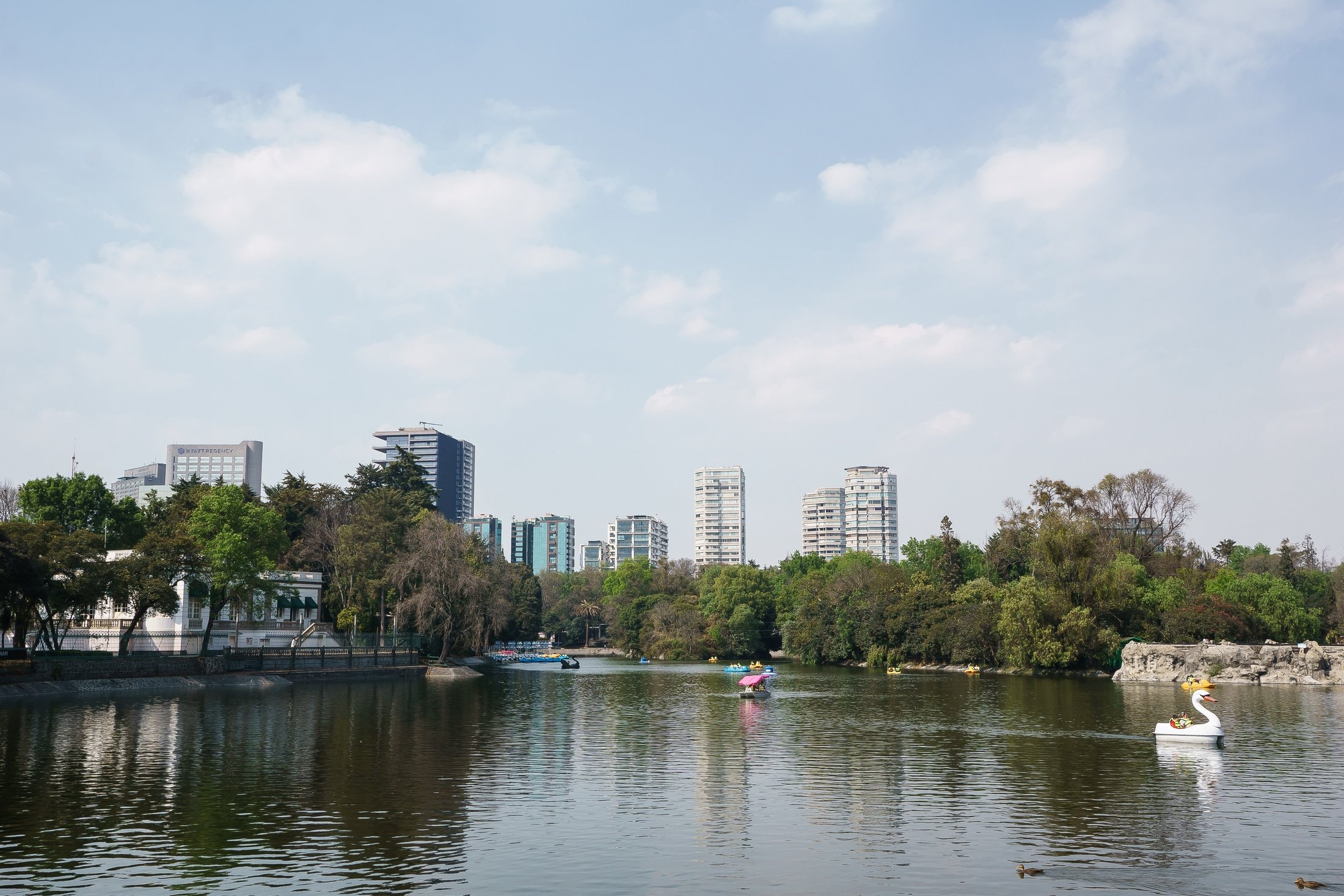 Berlokasi sentral namun jauh dari semua hiruk pikuk, Taman Kota Chapultepec, Mexico City, Meksiko, 17 Januari 2022. (Foto dpa)