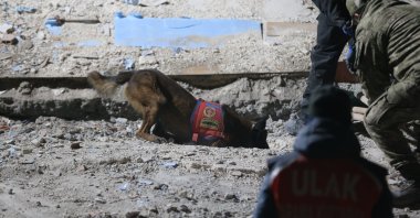 Search and rescue teams search for people under the rubble in Şanlıurfa&#039;s Haliliye district, Feb. 7, 2023. (AA Photo)