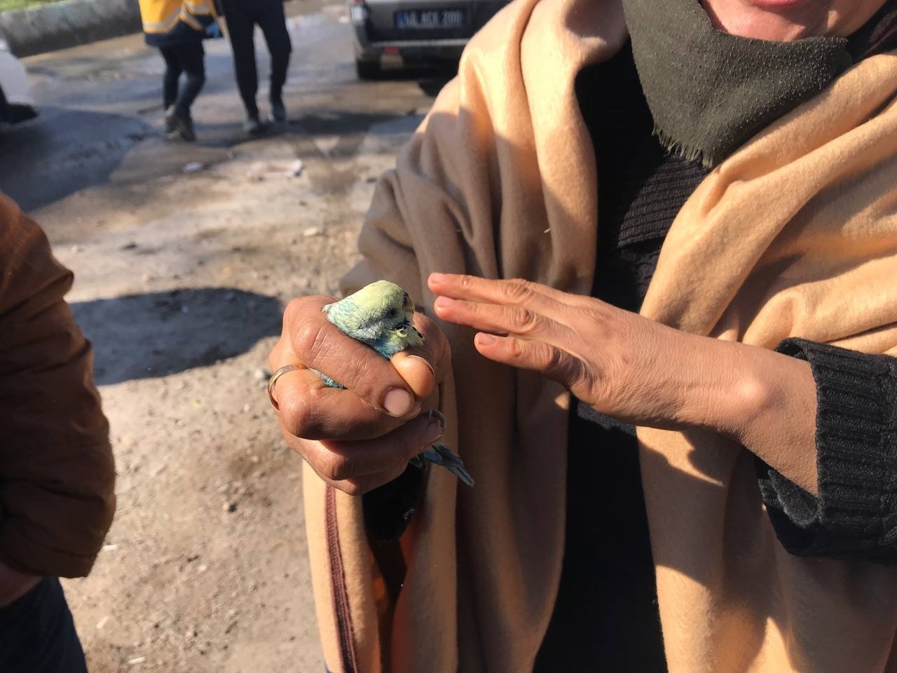 The aunt of Berat Sarı, Döndü Öztürk, holds the budgie that Berat protected under the rubble for 55 hours, Kahramanmaraş, Türkiye, Feb. 8, 2023. (AA Photo)