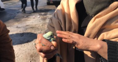 The aunt of Berat Sarı, Döndü Öztürk, holds the budgie that Berat protected under the rubble for 55 hours, Kahramanmaraş, Türkiye, Feb. 8, 2023. (AA Photo)