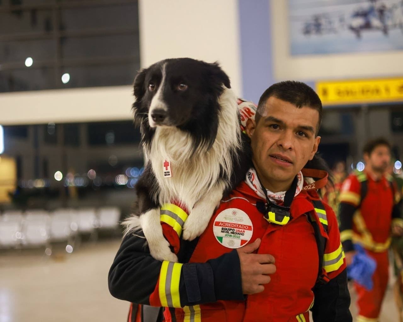 Mexico sender sine berømte redningshunder til Türkiye, 8. februar 2023. (IHA Photo)