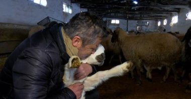 Erdoğan Özgen pictured with one of his sheep, Kahramanmaraş, southeastern Türkiye, Feb. 14, 2023. (DHA Photo)