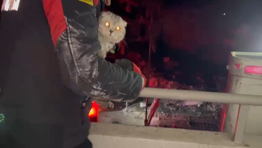 Seekor kucing mengintip dari pelukan petugas pemadam kebakaran yang menyelamatkannya dari lantai lima sebuah bangunan yang rusak di provinsi Hatay setelah 11 hari setelah gempa bumi kembar yang melanda Türkiye tenggara, 16 Februari 2023. (Foto AA)