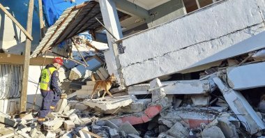 A rescue worker and dog are seen amid the debris following an earthquake in southern Türkiye, Feb. 15, 2023. (Courtesy of the Croatian consulate)