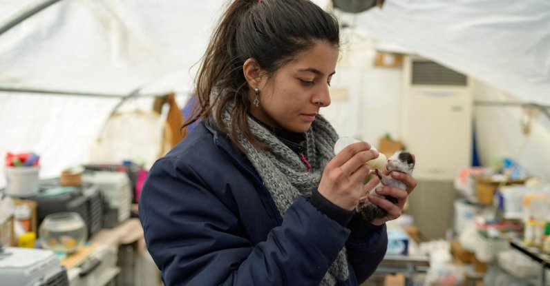 Petek Nur Sezer, a volunteer for the local NGO Haytap, feeds a kitten in Antakya, south of Türkiye, Feb. 18, 2023. (AFP Photo)