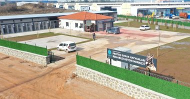 Stray animals rehabilitation center in Kocaeli&#039;s Başiskele district named by Mexican rescue dog Proteo that died while saving lives during Feb. 6 earthquakes, Kocaeli, northwestern Türkiye, Feb. 22, 2023. (DHA Photo)