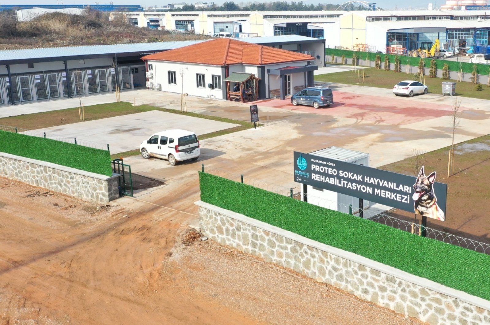 Animal center in Türkiye’s Kocaeli named after heroic dog Proteo