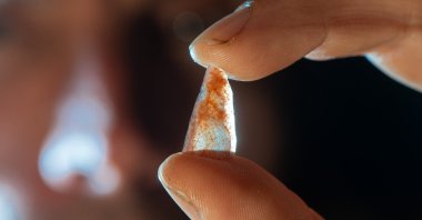 Ludovic Slimak holds a Neronian nanopoint found in Grotte Mandrin "Layer E," Malverne, France, Feb. 22, 2023. (AFP Photo)