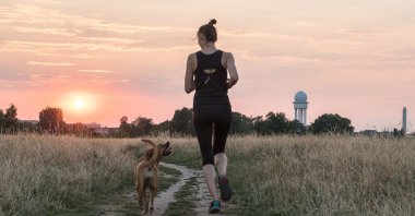 New research has found that people who exercise as they age are more likely to have good brain health. (dpa Photo)