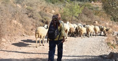 A common sight when hiking through Türkiye&#039;s hinterland. (dpa Photo)