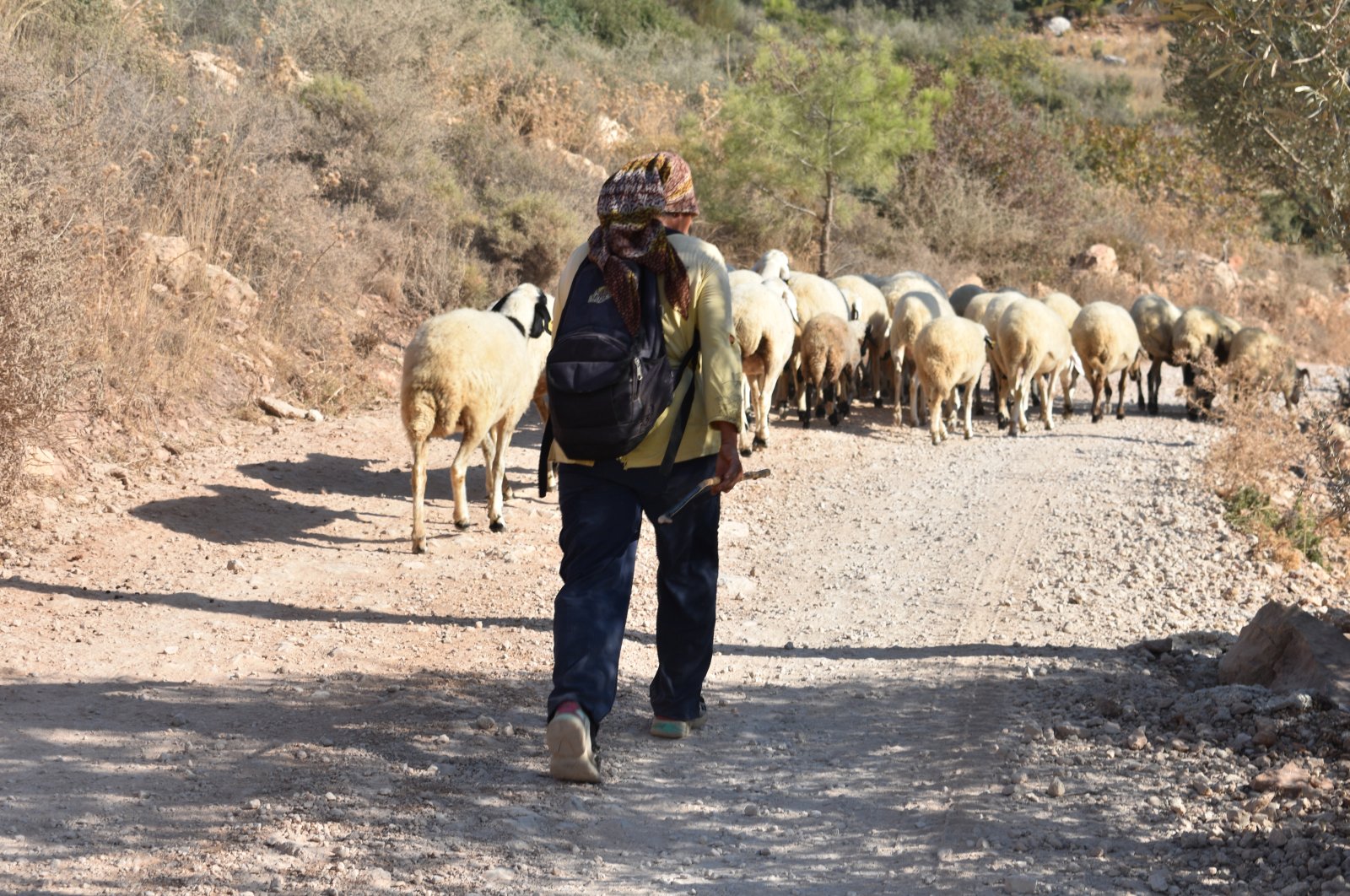 Surga pejalan kaki: Menemukan Jalan Lycian yang menakjubkan di Türkiye