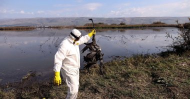 A worker holds up a crane that died following an outbreak of avian flu in the lake of a nature reserve, in the Hula Valley, northern Israel, Jan. 2, 2022. (Reuters Photo)