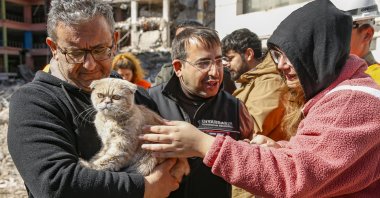 Twenty-year-old Sena Yaman greets her cat, saved 19 days after the Feb. 6 quakes struck Diyarbakır, southeastern Türkiye, Feb. 25, 2023. (AA Photo)