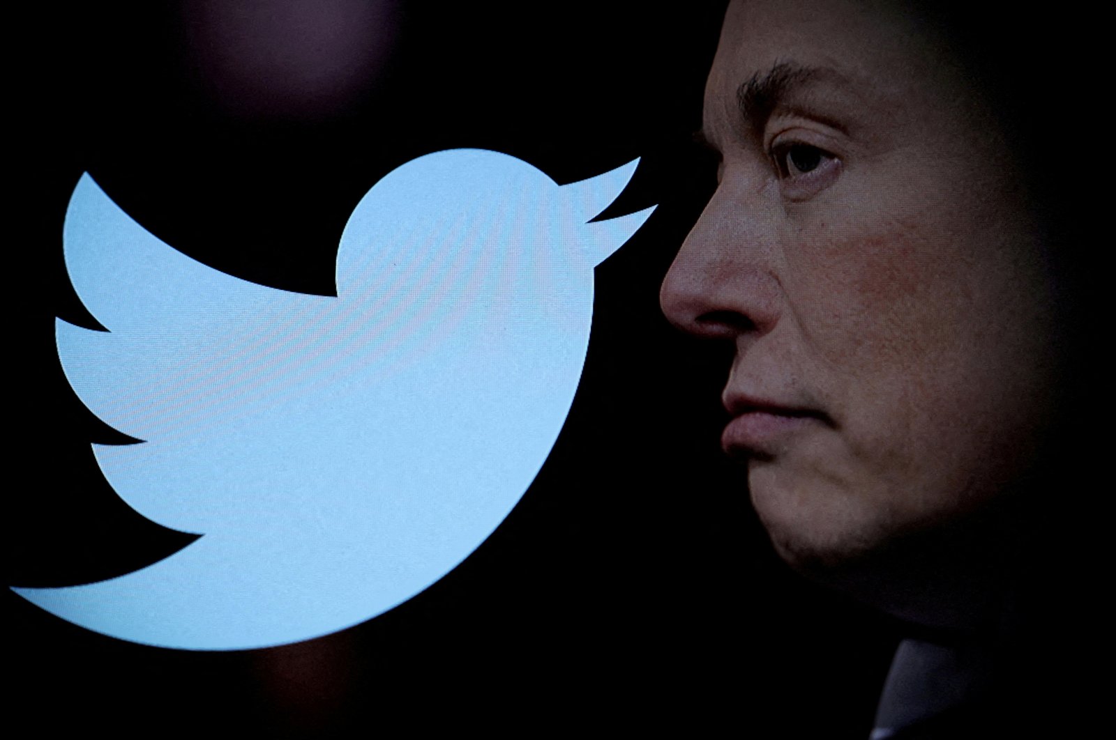 The Twitter logo and a photo of Elon Musk are displayed through a magnifier in this illustration taken Oct. 27, 2022. (Reuters Photo)