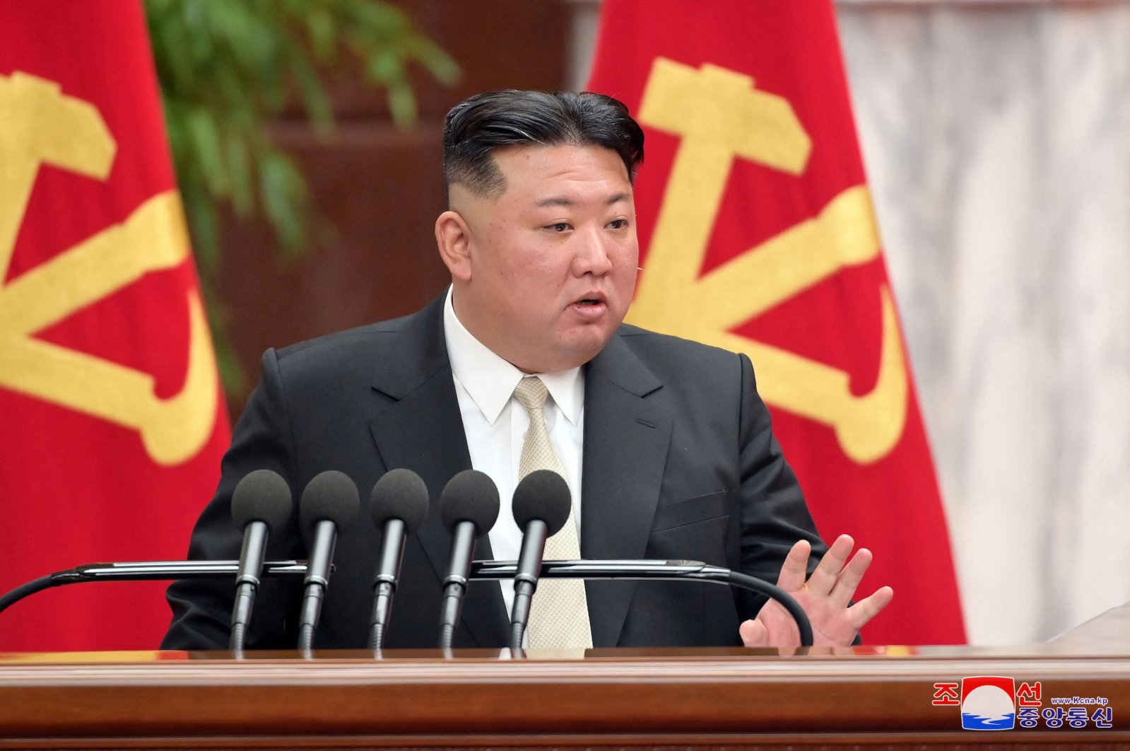 N. Korea’s Kim pushes for agro reform as food shortage bites