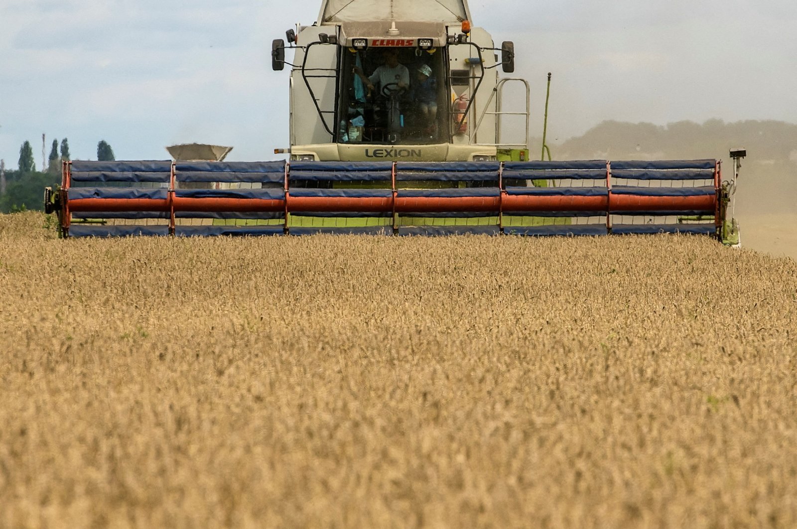 Ukraina melihat tidak perlu mengekang ekspor gandum 2023/24: Resmi