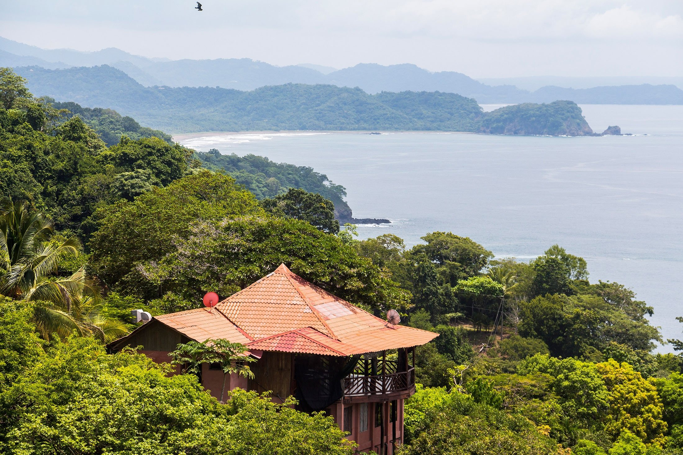 Hutan dan garis pantai Nicoya, Kosta Rika.  (Foto Shutterstock)