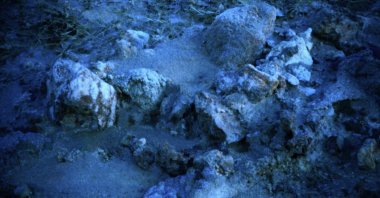 An artwork from Jochen Proehl&#039;s &quot;Pontos&quot; series. (Photo Courtesy of the National Reassurance)