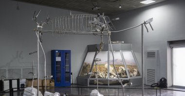 The fossils of a 3,500-year-old elephant at the Archeology Museum, Kahramanmaraş, Türkiye, March 4, 2023. (AA Photo)
