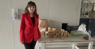 Nazlı Uslu, a female entrepreneur operating in the dried fruit sector now exports her products internationally, Yalova, Türkiye, March 8, 2023. (AA Photo)