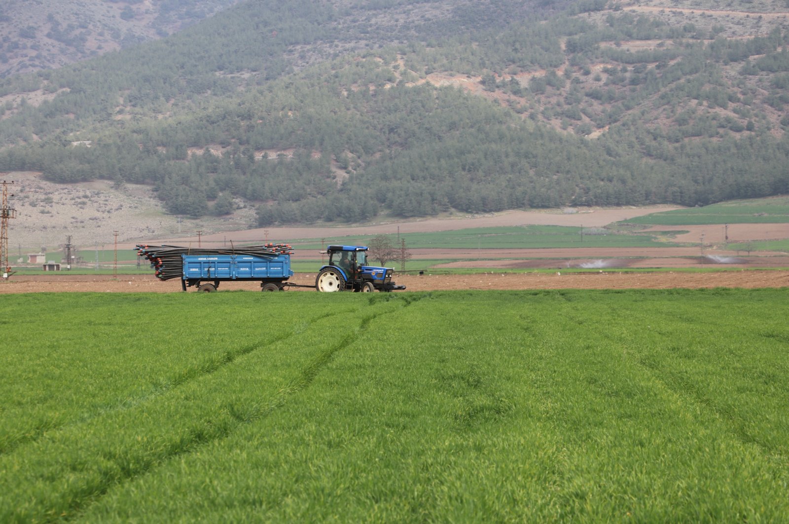 A farmer plows a field in Gaziantep, southeastern Türkiye, March. 7, 2023. (AA Photo)