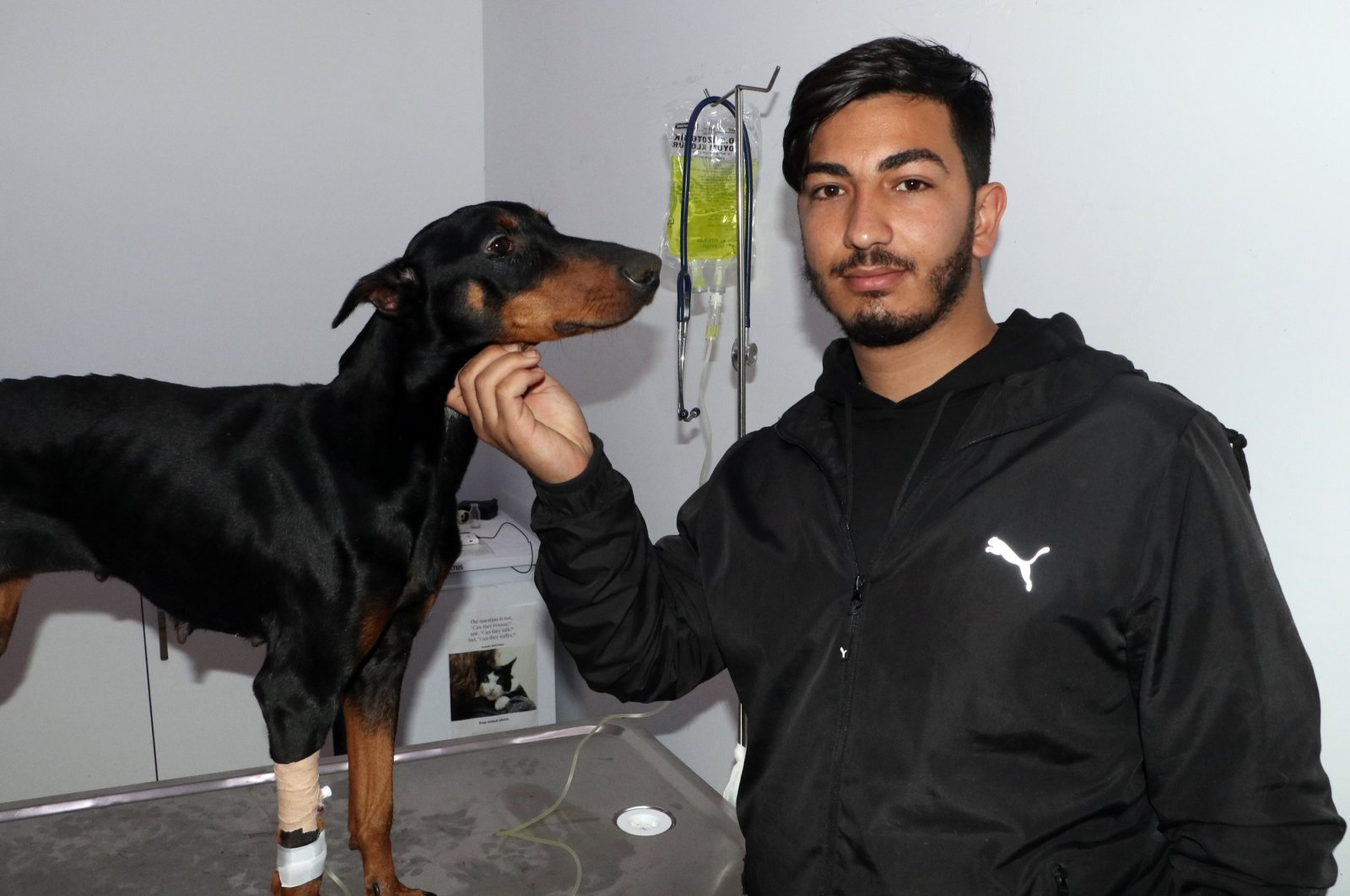 Anjing, 3 anak anjing diselamatkan dari puing-puing sebulan setelah gempa Türkiye