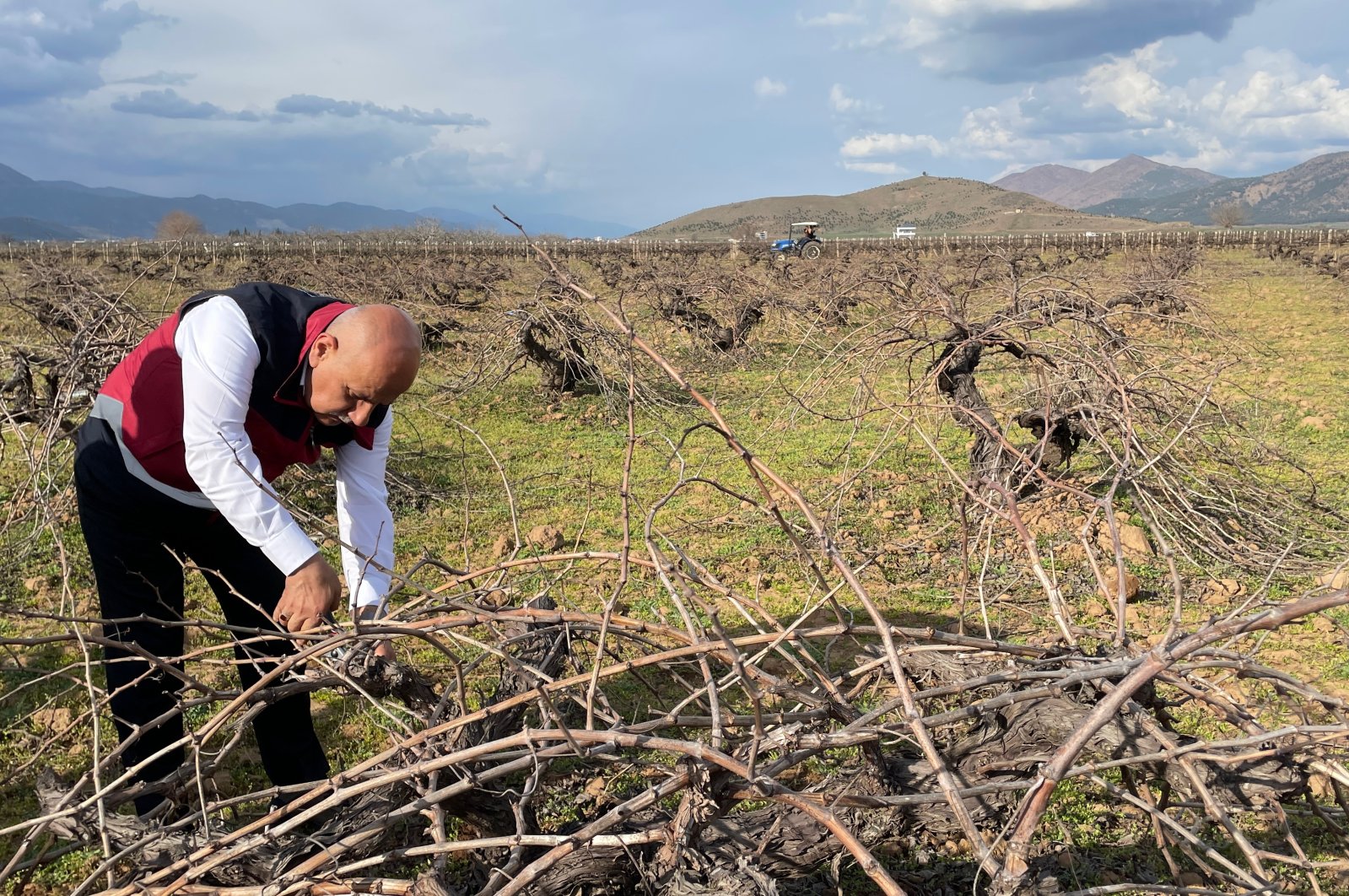 Türkiye untuk mengubah 11 pasal tentang hutan, hukum pertanian: Kementerian