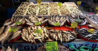 A local market sells fresh fish caught in the Black Sea, Türkiye, March 13, 2023. (IHA Photo)
