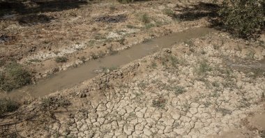 A dry land that was once fertile and green, in Second Village, Qouta town, Fayoum, Egypt, Aug. 8, 2020. (AP Photo)