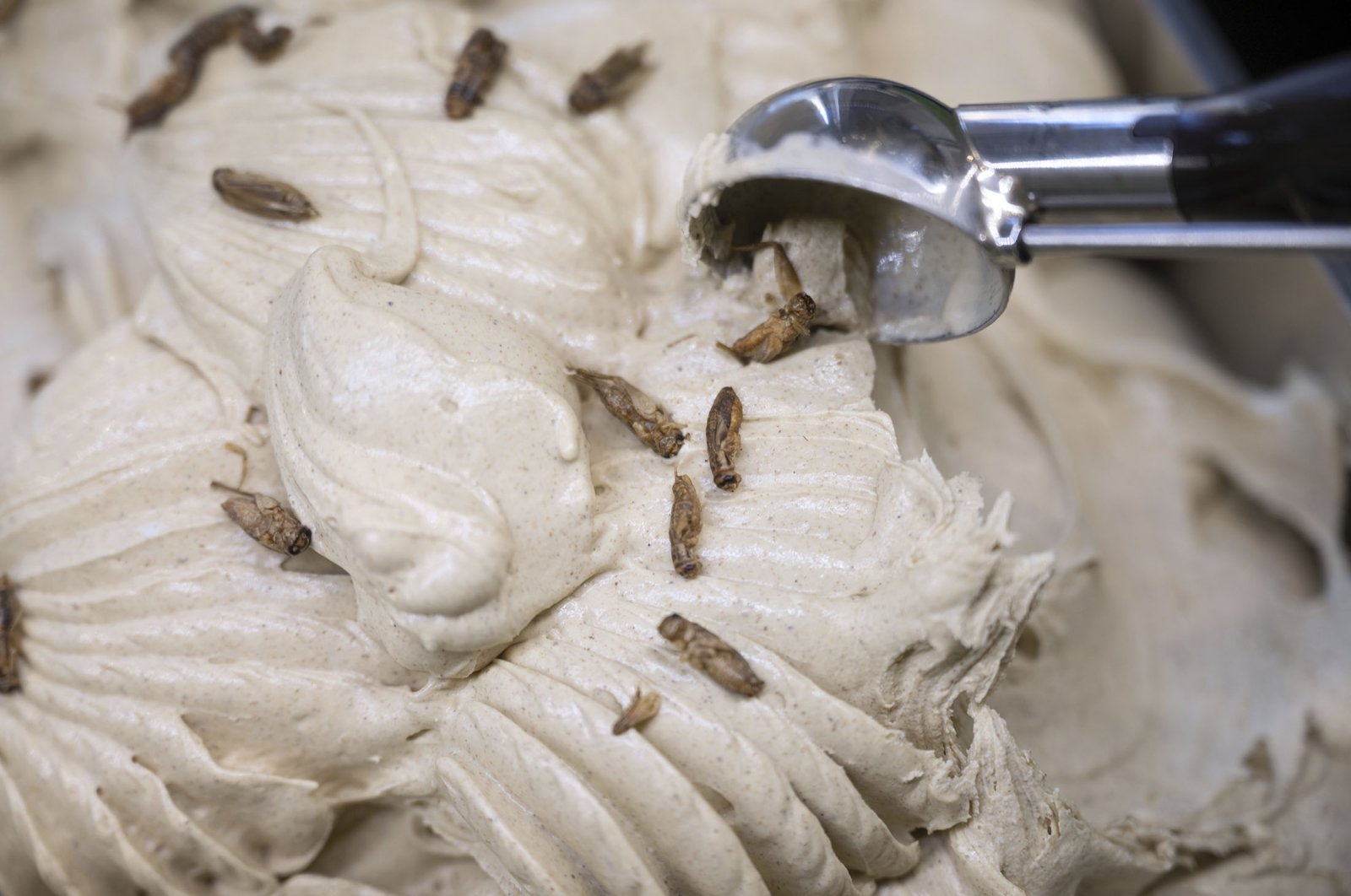 Keheningan kriket: Ruang tamu es krim Jerman menambahkan serangga pada rasa