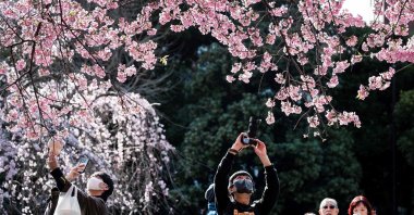 People take photos as they come out to Ueno Park to see the early cherry blossoms in Tokyo, Japan, March 14, 2023. (AFP Photo)