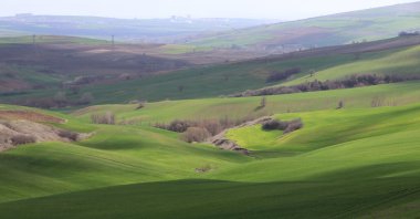 An open plot is seen in this photograph taken in the northwestern province of Tekirdağ, Türkiye, March 10, 2023. (DHA Photo)