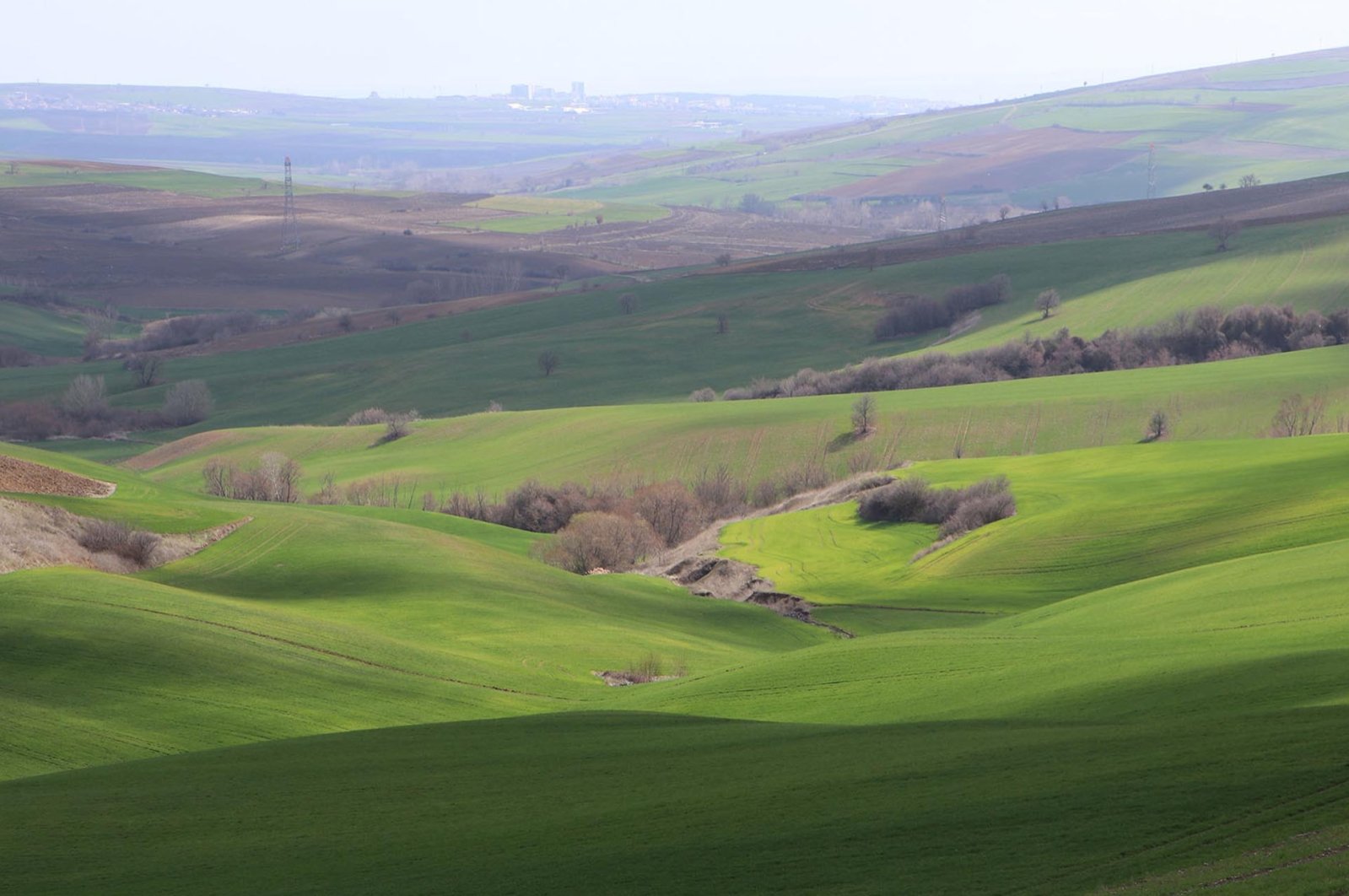 An open plot is seen in this photograph taken in the northwestern province of Tekirdağ, Türkiye, March 10, 2023. (DHA Photo)