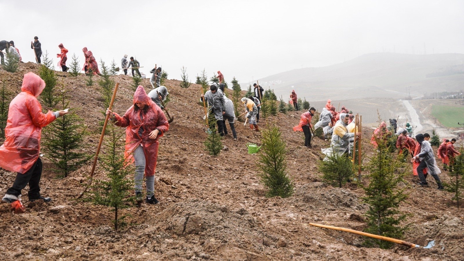 Volunteers plant saplings in memory of earthquake victims in an open field in Keçiören, Ankara, Türkiye, March 17, 2023. (AA Photo)