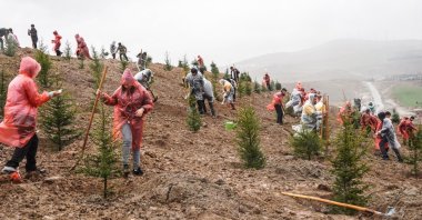 Volunteers plant saplings in memory of earthquake victims in an open field in Keçiören, Ankara, Türkiye, March 17, 2023. (AA Photo)