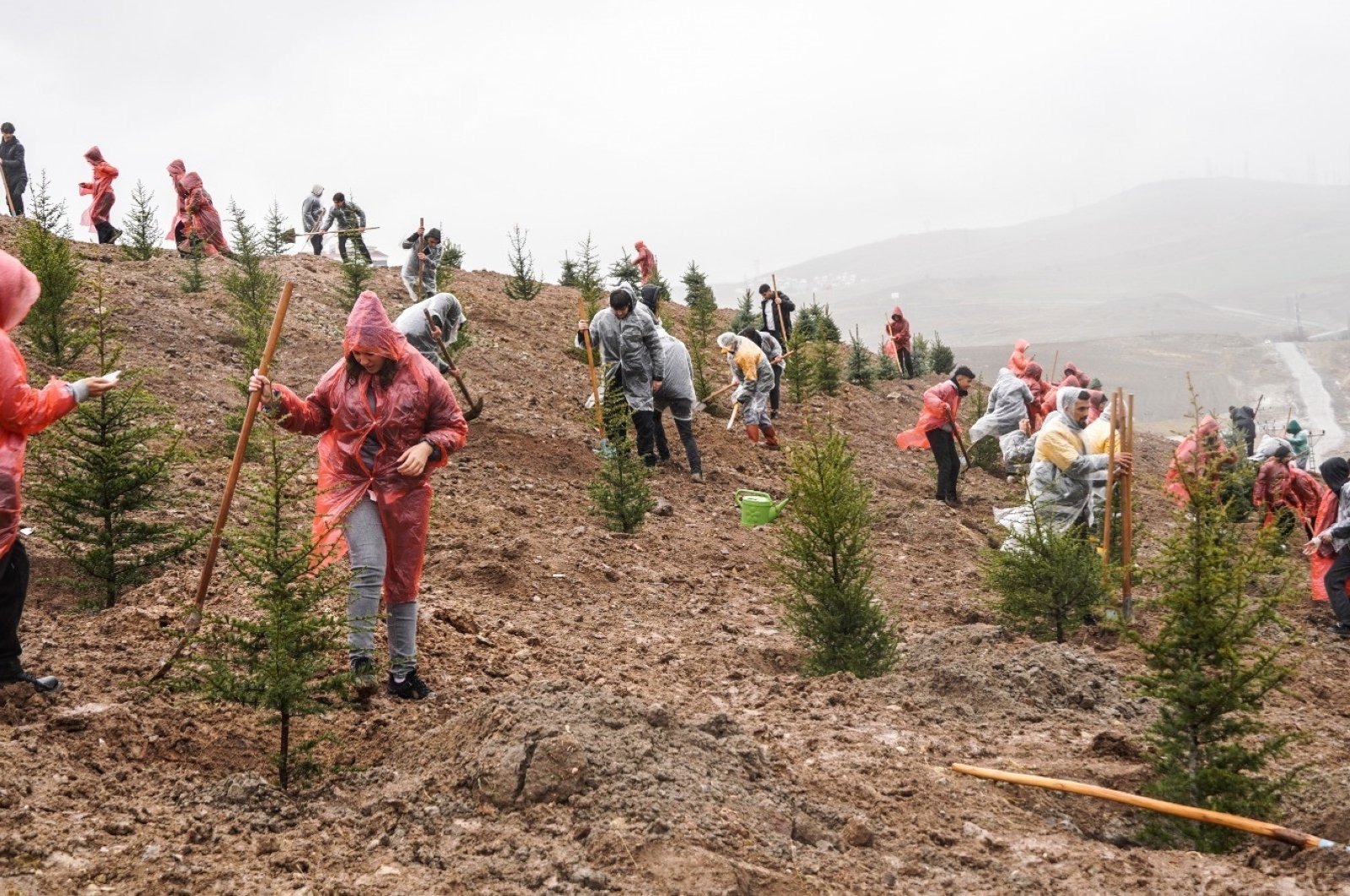 Türkiye menanam bibit untuk korban gempa pada Hari Hutan Internasional