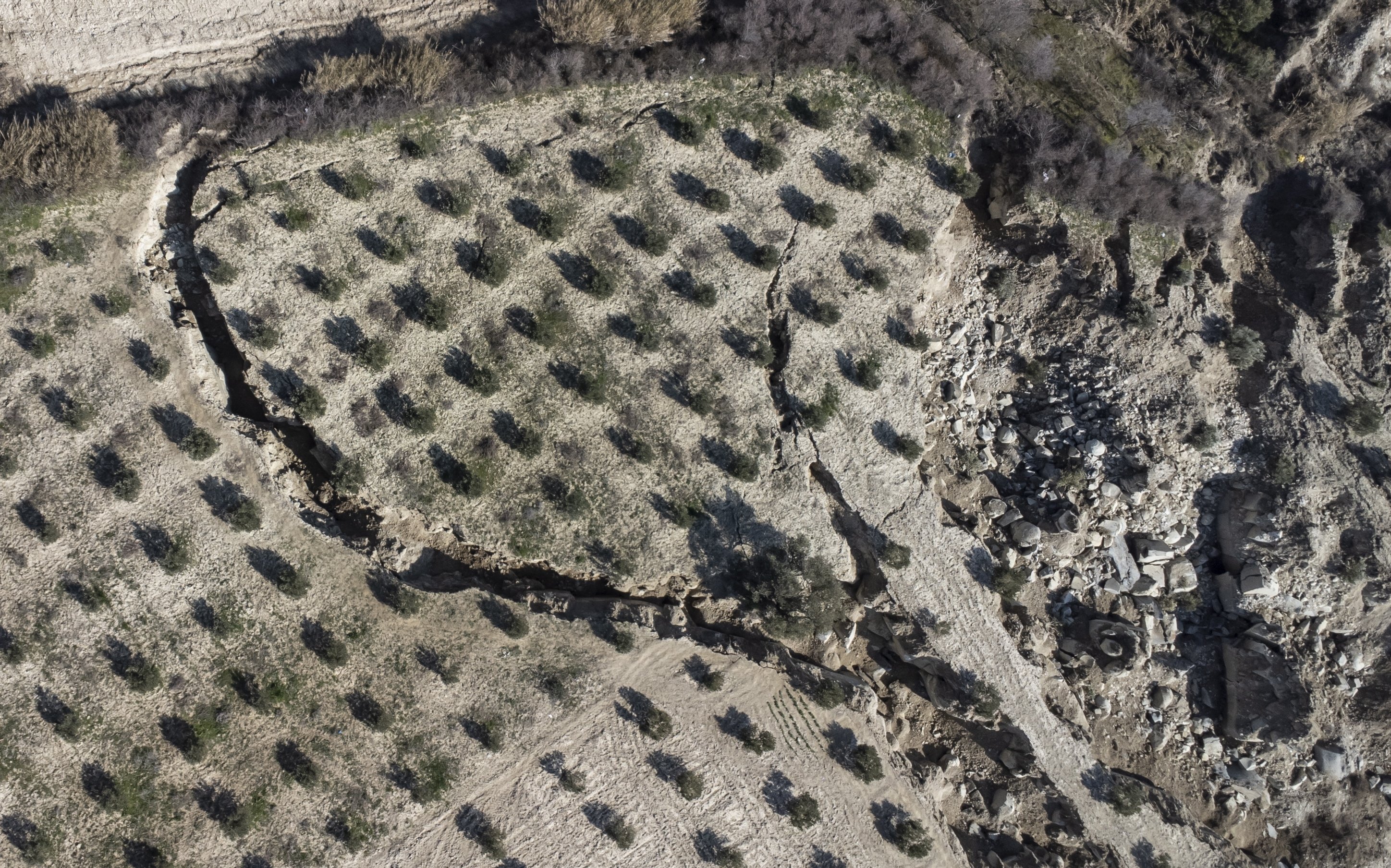 Pemandangan udara yang diambil dengan drone menunjukkan garis patahan di dalam ladang zaitun di desa Tepehan, distrik Hatay, Türkiye selatan, 22 Februari 2023. (Foto EPA)