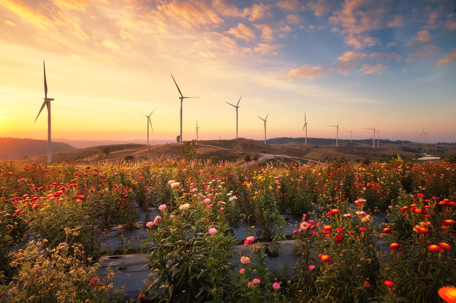 The transition to green and clean energy is essential and it is widely accepted that a reliable and realistic approach is necessary to ensure energy supply security. (Getty Images Photo)