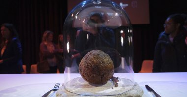 A meatball made using genetic code from a mammoth at the Nemo science museum in Amsterdam, The Netherlands, March 28, 2023. (AP Photo)