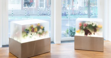 The artwork from “The Century of Loneliness Vol. I," by Hayal Incedoğan, Düsseldorf, Germany. (Photo courtesy of Anna Laudel)