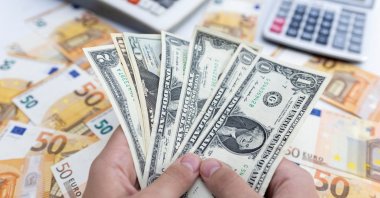 Woman holds U.S. dollar banknotes in front of Euro banknotes in this illustration taken May 30, 2022. (Reuters Photo)