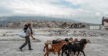 A shepherd walks with his goats as trucks pour rubble after the deadly earthquake in Samandağ, southern Hatay province, Türkiye, March 28, 2023. (AFP Photo)