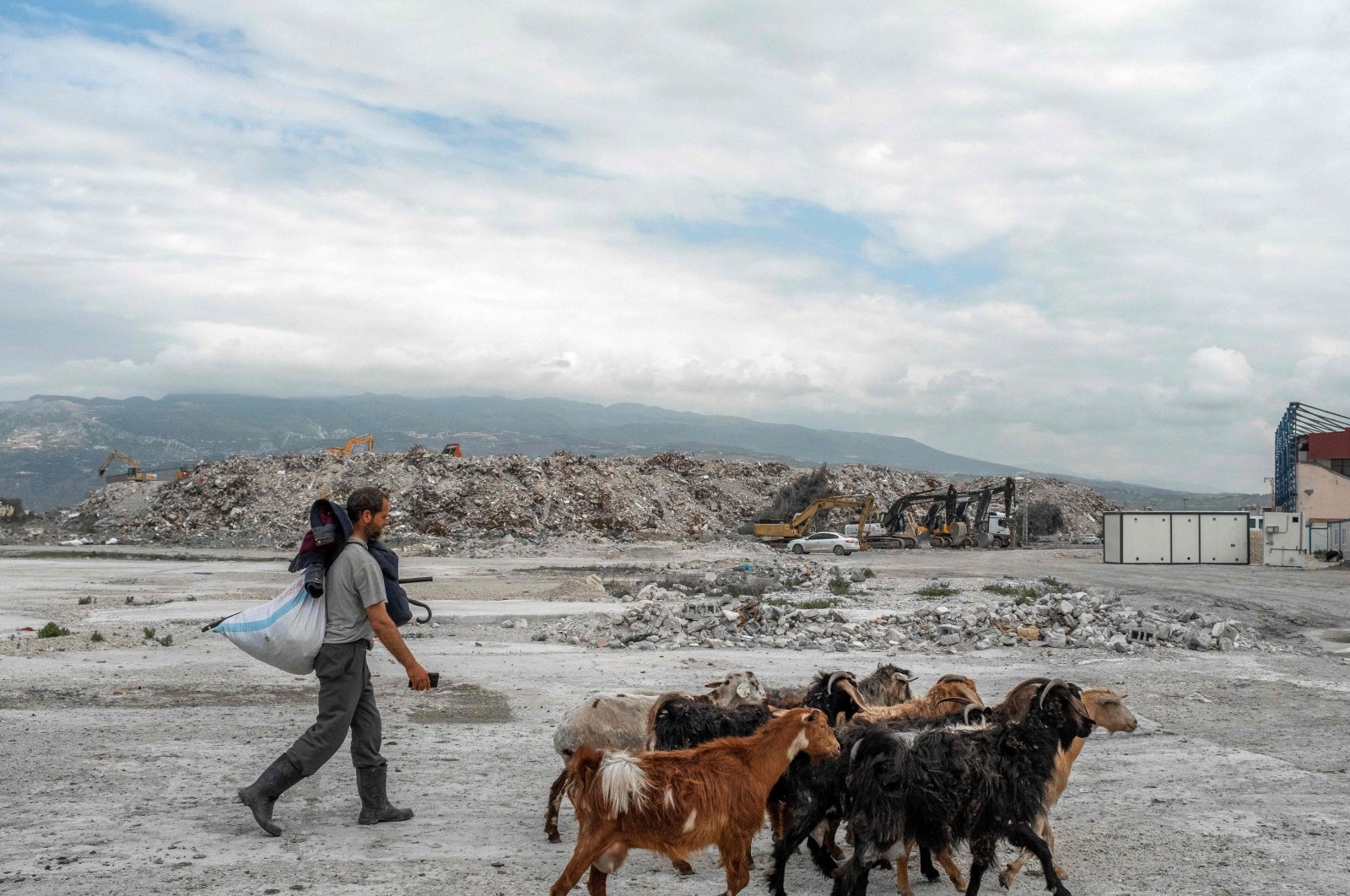A shepherd walks with his goats as trucks pour rubble after the deadly earthquake in Samandağ, southern Hatay province, Türkiye, March 28, 2023. (AFP Photo)
