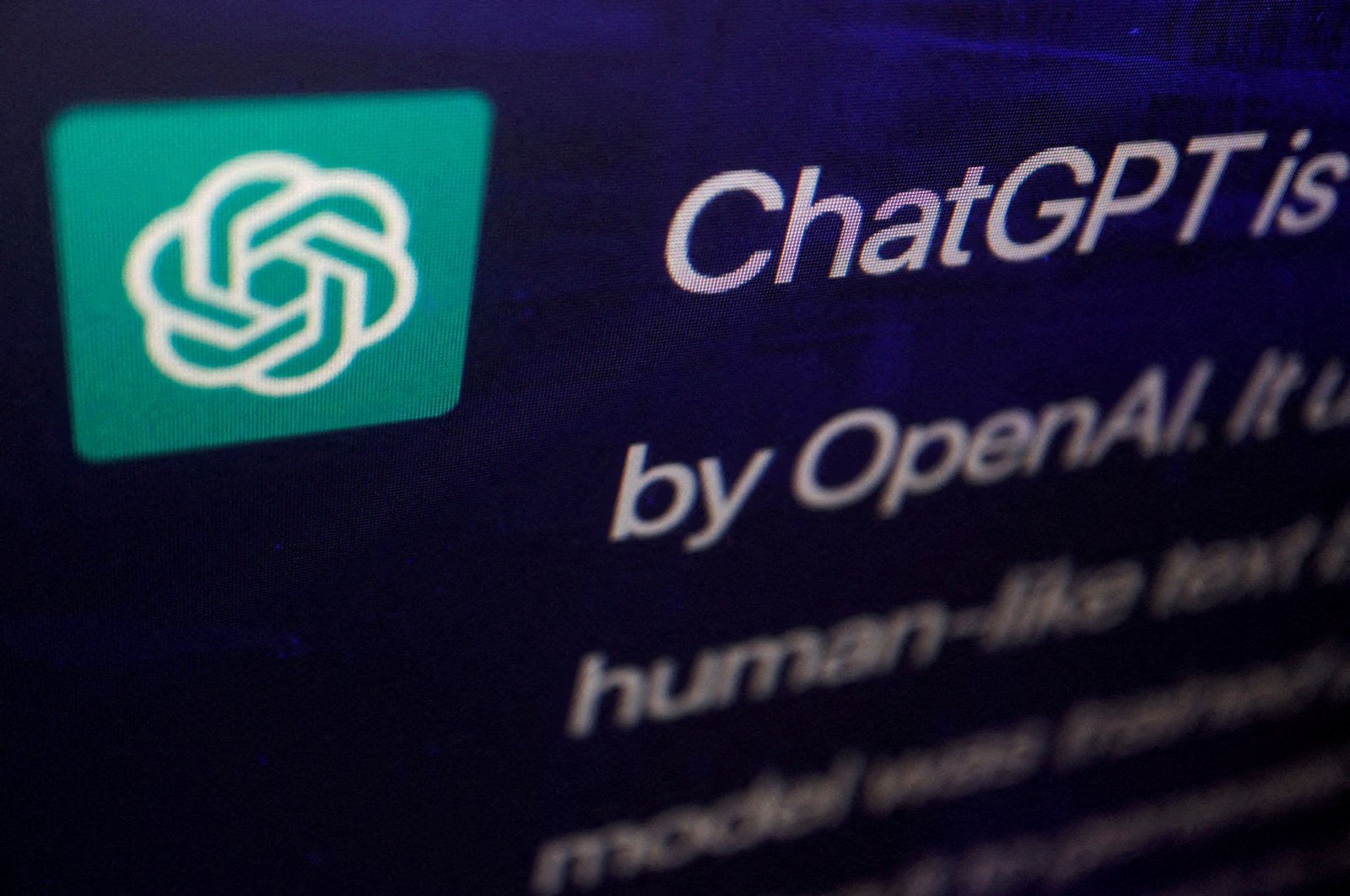 A response by ChatGPT, an AI chatbot developed by OpenAI, is seen on its website in this illustration picture from Feb. 9, 2023. (Reuters Photo)