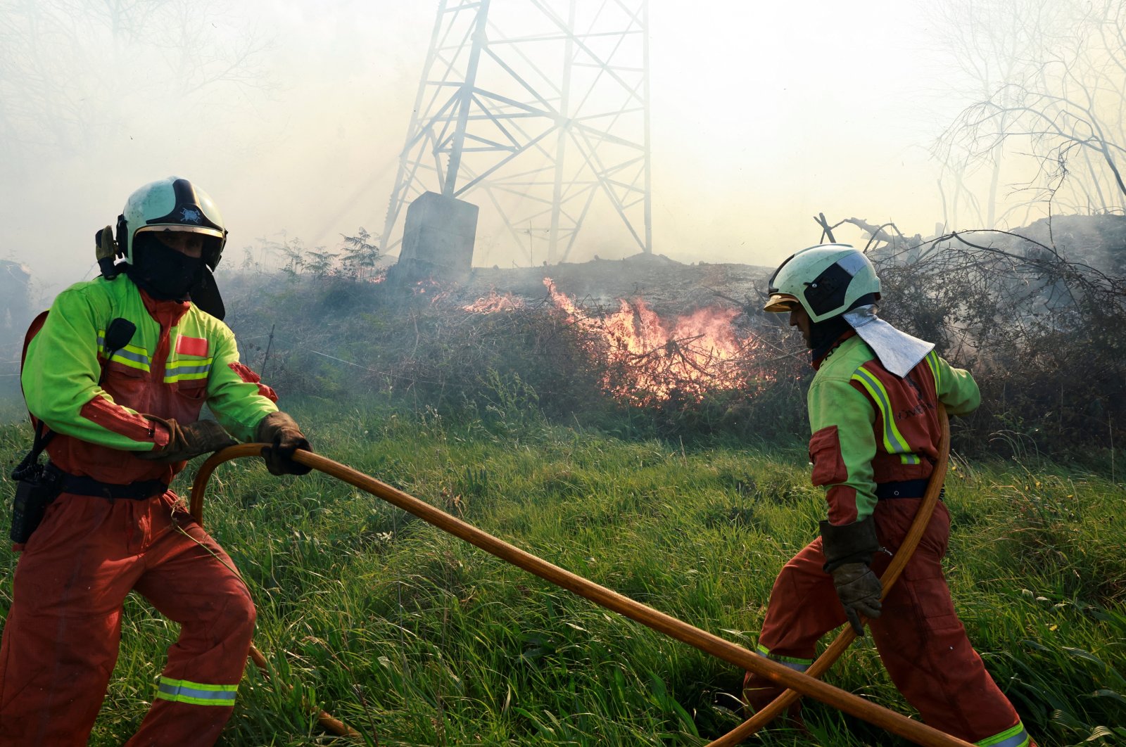 Pembakaran diyakini berada di balik sebagian besar kebakaran hutan di Spanyol utara