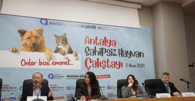 Antalya Metropolitan Municipality Mayor Muhittin Böcek at the 'Stray Animals Workshop', April 3, 2023. (IHA Photo)
