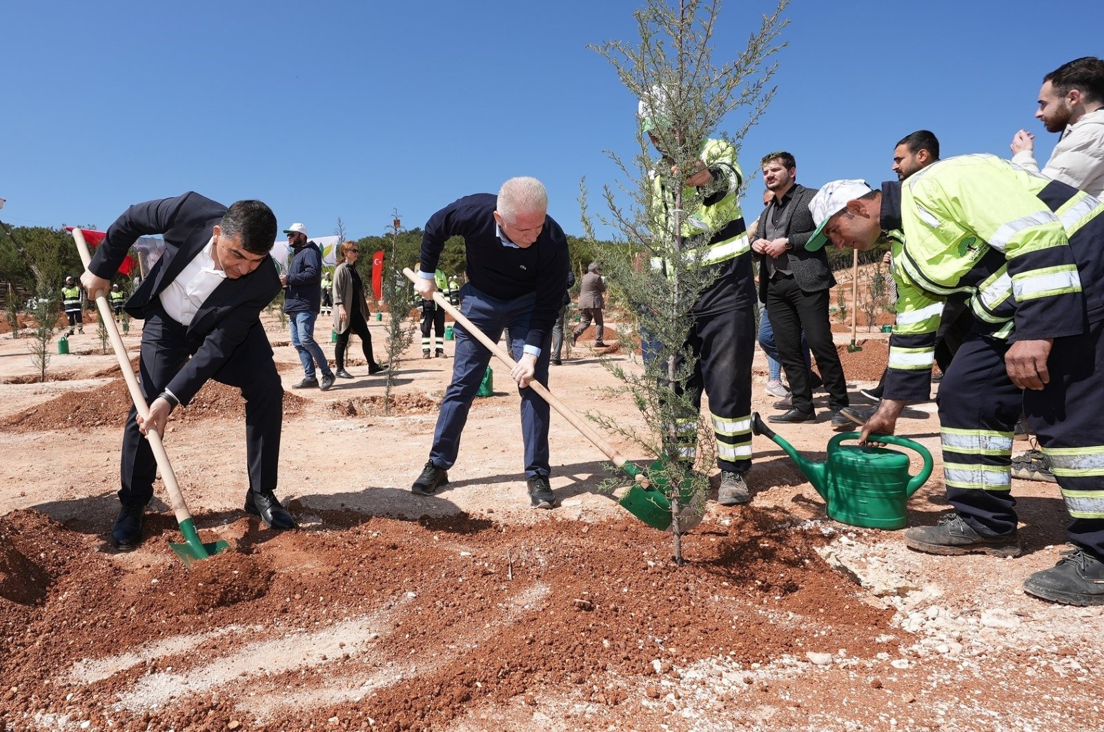 10 bibit akan ditanam untuk setiap pohon yang ditebang di zona gempa Türkiye